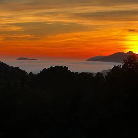 Villa Royal Hideaway & Retreat Son Font Calvia (Mallorca)